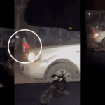 dmk flag chennai car