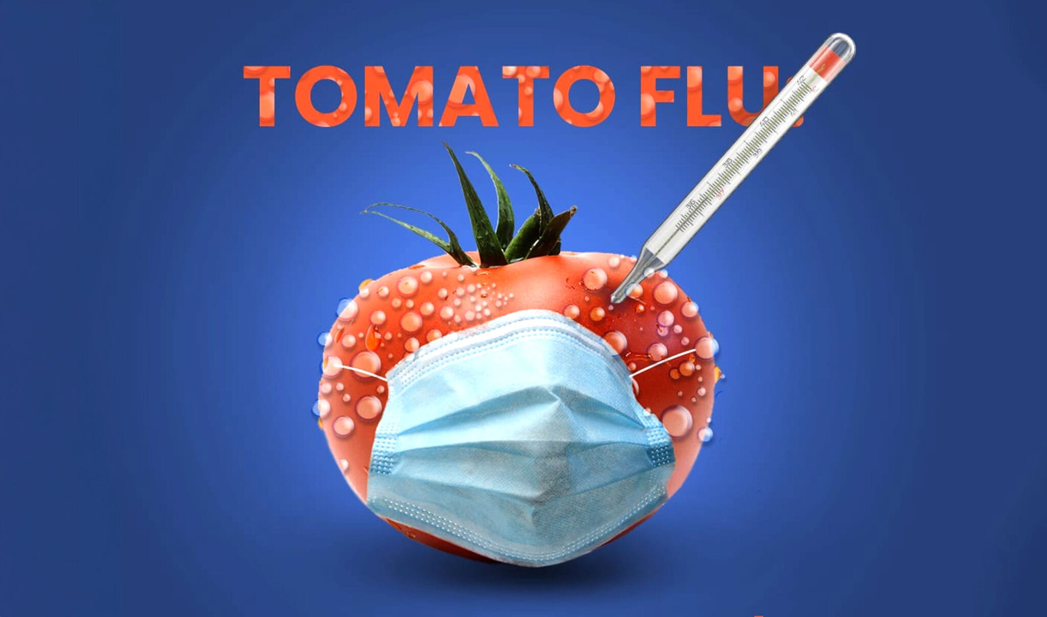 tomato flu