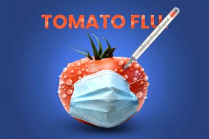 tomato flu