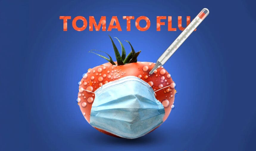 tomato flu