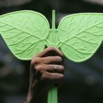 admk-flag