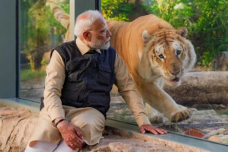 vanrara modi