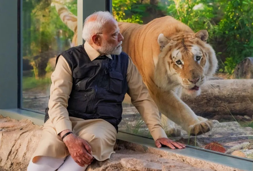 vanrara modi