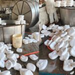 paneer