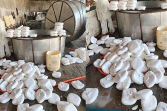 paneer