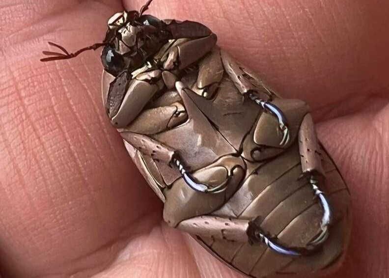 1de97569e59430449949edb495909431