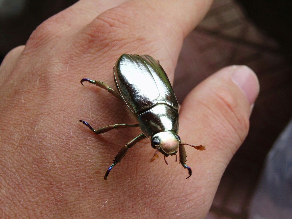 435977cdb51df63bc1466c7192ab0f50