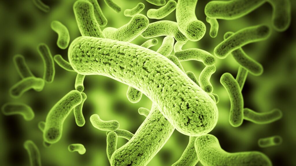 antibioticdiscovery-PremethylenomycinClactone-MethylenomycinA-antimicrobial-AMR-newmedicine-bacteriakiller-scientificbreakthrough-medicalresearch-WHOreport-antibioticinnovation