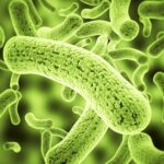 antibioticdiscovery-PremethylenomycinClactone-MethylenomycinA-antimicrobial-AMR-newmedicine-bacteriakiller-scientificbreakthrough-medicalresearch-WHOreport-antibioticinnovation