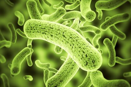 antibioticdiscovery-PremethylenomycinClactone-MethylenomycinA-antimicrobial-AMR-newmedicine-bacteriakiller-scientificbreakthrough-medicalresearch-WHOreport-antibioticinnovation