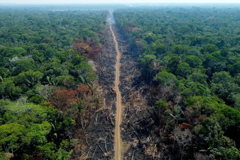 Amazon forests-face-hypertropical-conditions-scientists-say-due-to-global-warming-scincenews-worldnews-science
