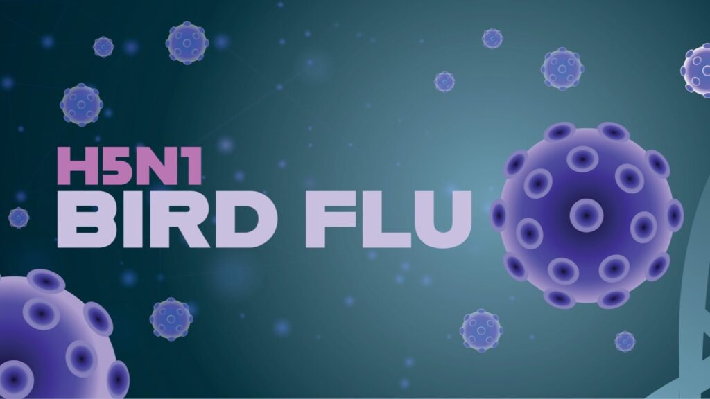 FLU