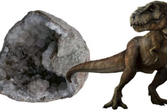 Ancient-dinosaur-fossil-egg-70million-year-old-shining-mystery-Crystals-found-inside-sceince-news