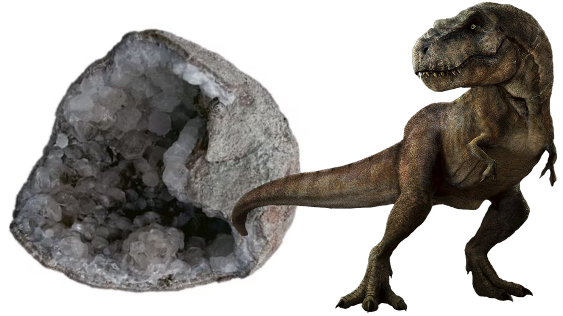 Ancient-dinosaur-fossil-egg-70million-year-old-shining-mystery-Crystals-found-inside-sceince-news