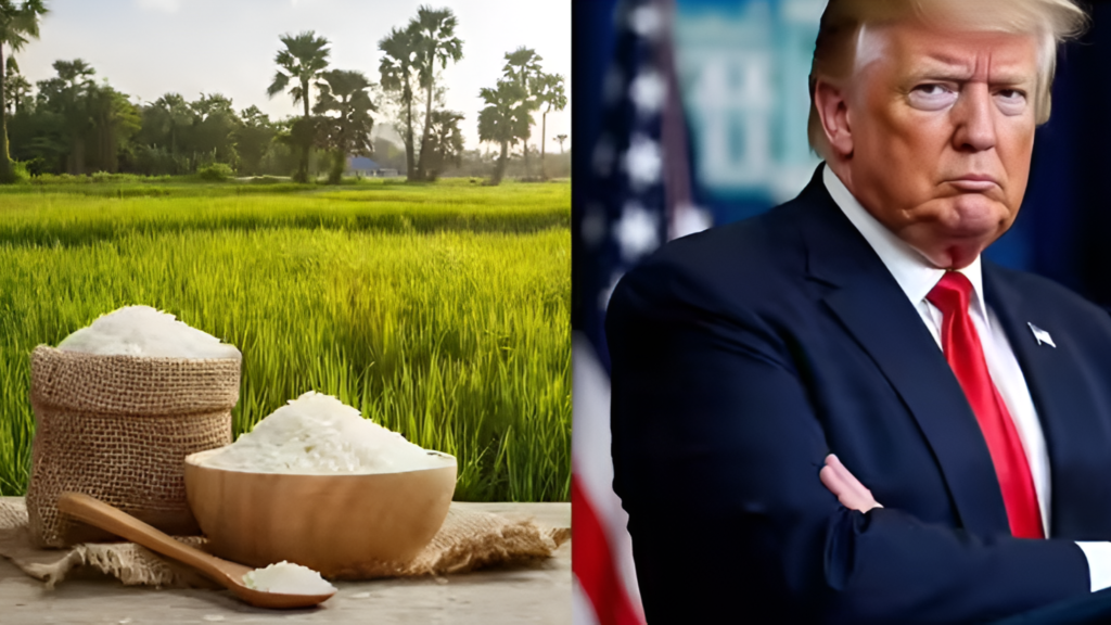 indian-rice-tax-farmers-trump-us-president-trump-plan-white-house