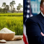 indian-rice-tax-farmers-trump-us-president-trump-plan-white-house