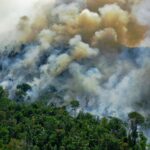Amazon forests-face-hypertropical-conditions-scientists-say-due-to-global-warming-scincenews-worldnews-science