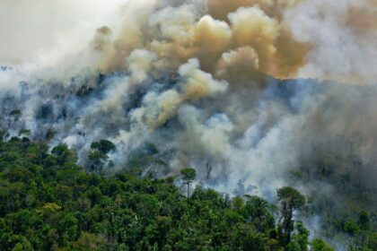 Amazon forests-face-hypertropical-conditions-scientists-say-due-to-global-warming-scincenews-worldnews-science