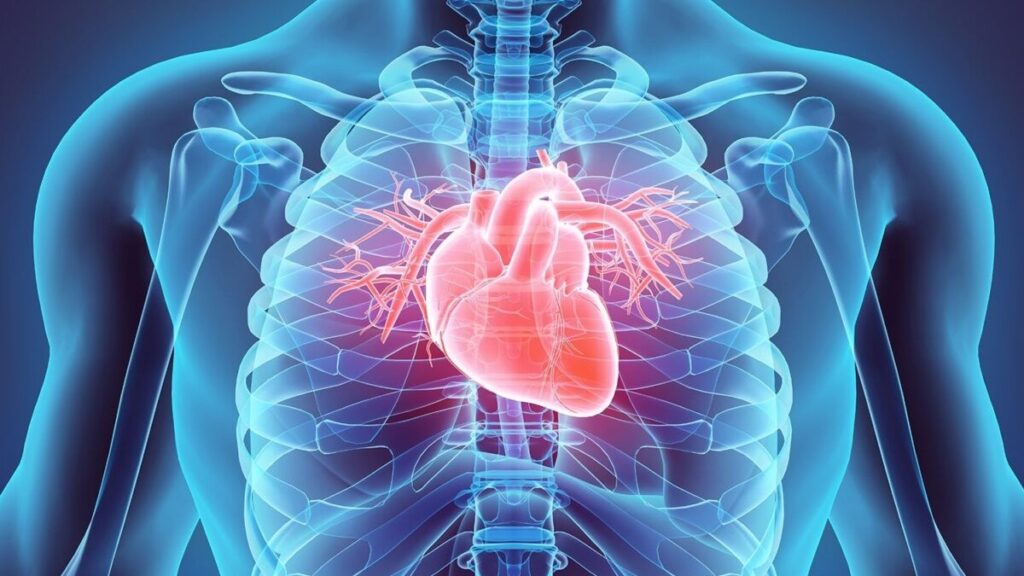 heart 3