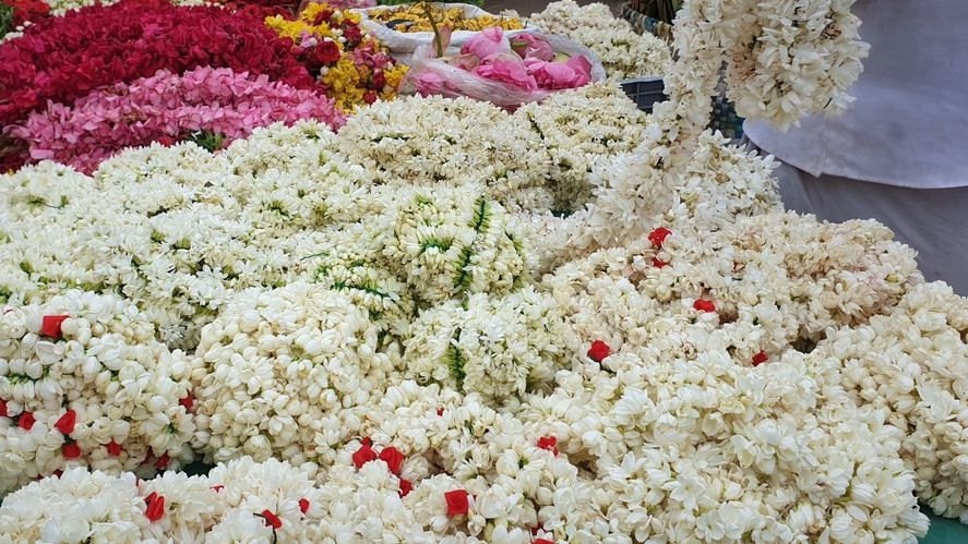 flowers-price-increase-in-tamilnadu-due-to-chirstmas-festival-season-tamilnadu-news