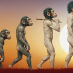 Homo-sapiens-specific-evolution-unveiled-ancient-southern-African-genomes-history-sceince-research-tamilnews-sciencenews