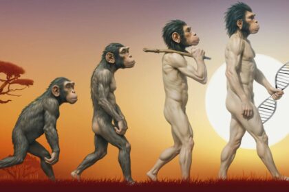 Homo-sapiens-specific-evolution-unveiled-ancient-southern-African-genomes-history-sceince-research-tamilnews-sciencenews