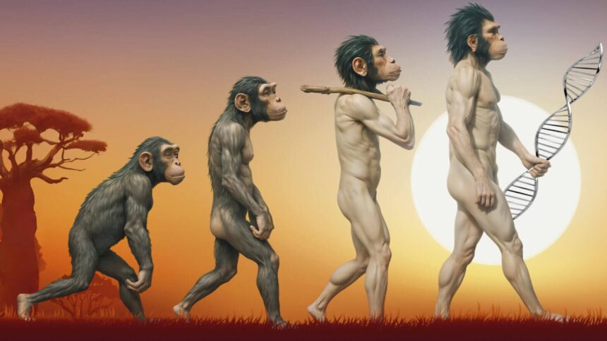 Homo-sapiens-specific-evolution-unveiled-ancient-southern-African-genomes-history-sceince-research-tamilnews-sciencenews