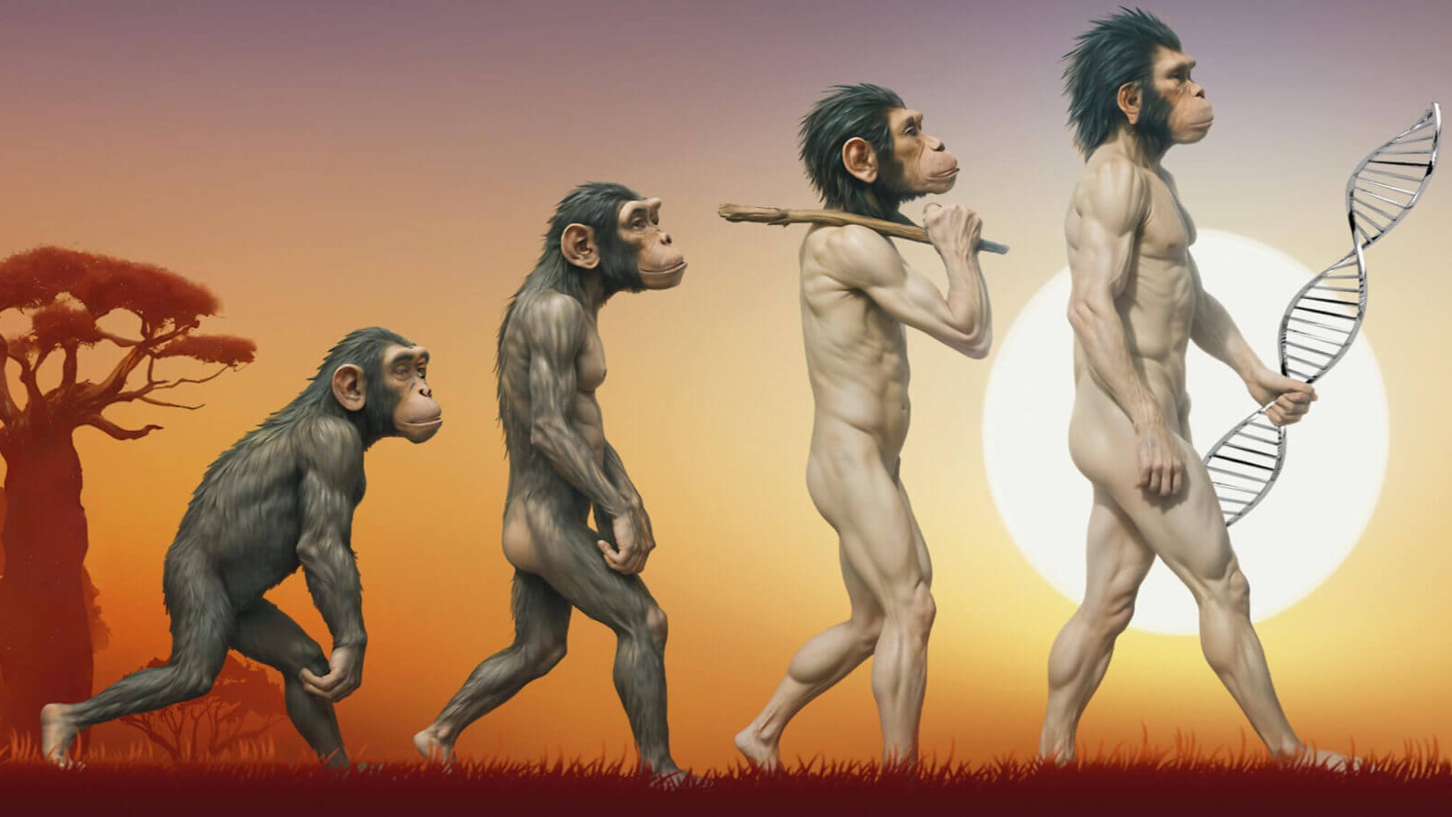 Homo-sapiens-specific-evolution-unveiled-ancient-southern-African-genomes-history-sceince-research-tamilnews-sciencenews