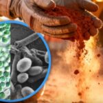 Scientists-ISRO-Bacteria-Mars-Buildings-Technology-Bricks-Space