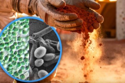 Scientists-ISRO-Bacteria-Mars-Buildings-Technology-Bricks-Space