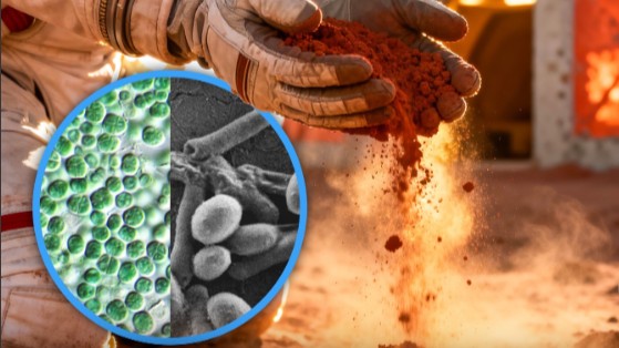 Scientists-ISRO-Bacteria-Mars-Buildings-Technology-Bricks-Space