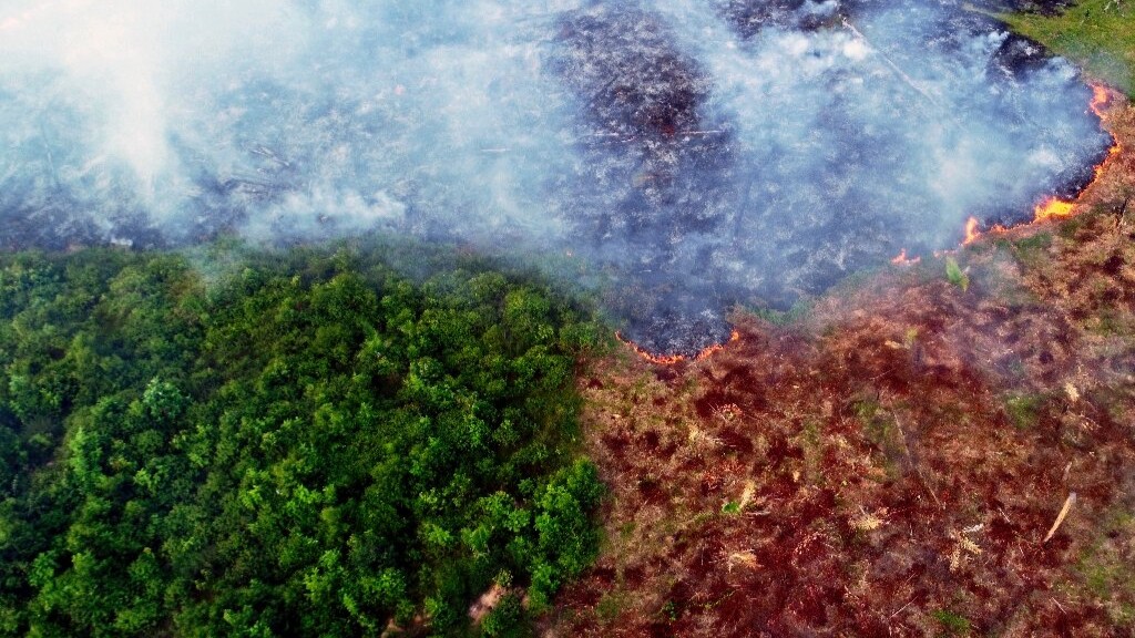 the amazon basin conta 1