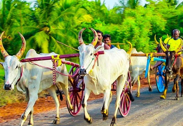 1758489 tamiln