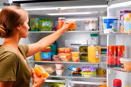 Refrigerator-Food safety-Health & wellness-Nutritious foods-Fridge mistakes-Health tips-Food storage-Tamil tips