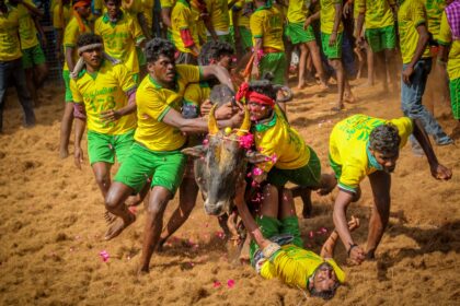 online-tamil-news-jallikattu-mattu-pongal