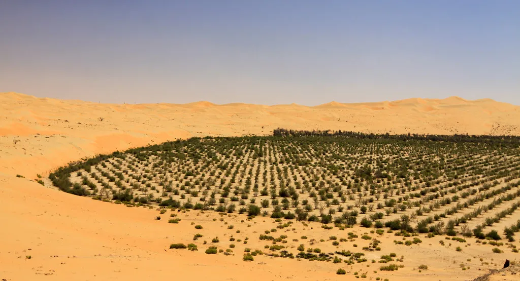 Rub al Khali by Flickr