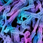 Antarctica-Microorganisms-DNA research-Medical research-Scientific discovery-Biotechnology-Antarctic life-Health science-New medical studies-Research news