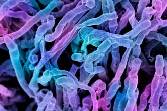 Antarctica-Microorganisms-DNA research-Medical research-Scientific discovery-Biotechnology-Antarctic life-Health science-New medical studies-Research news