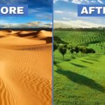 Deserts-Saudi-Arabia-green-revolution-oases-aims-to-1billion-trees