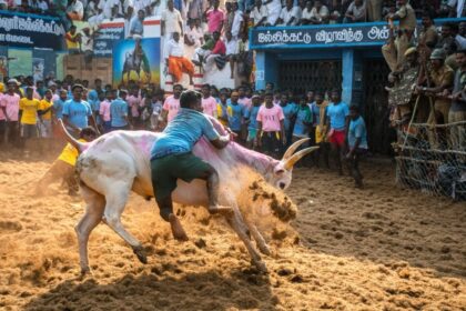 Online tamil news-jallikatu-Tamil Culture