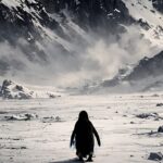 Penguin, Viral Video, Social Media, Online Tamil News