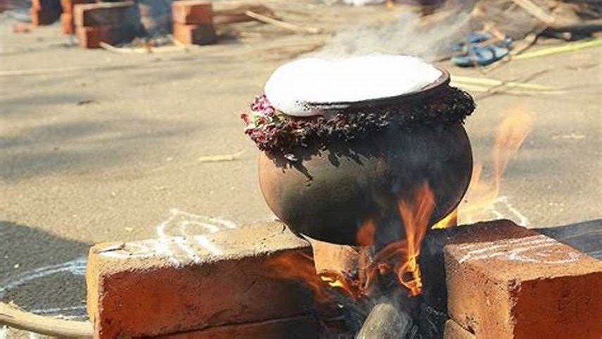 pongal pot