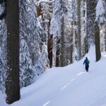 online-tamil-news-world-news-tamil