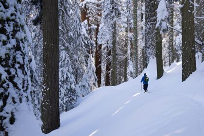 online-tamil-news-world-news-tamil