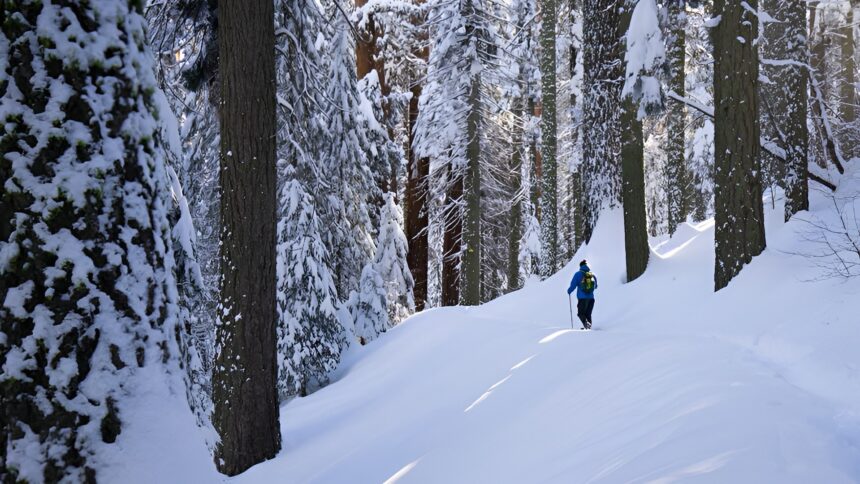 online-tamil-news-world-news-tamil