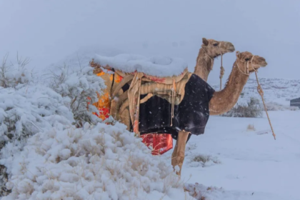 Snowfall in deserts-Online tamil News