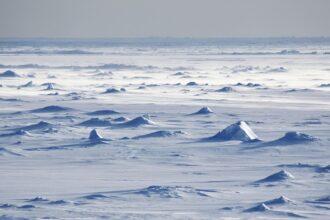 online-tamil-science-news