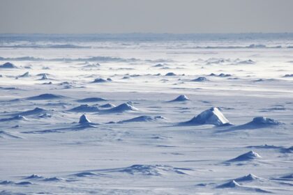 online-tamil-science-news