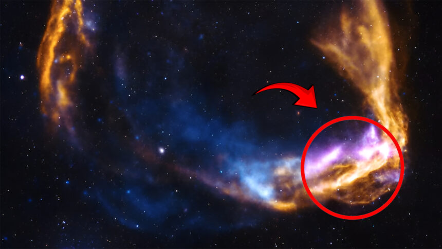 online-tamil-science-news