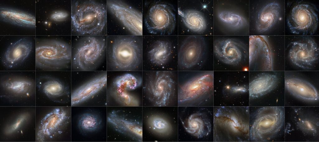 Super Nova collage